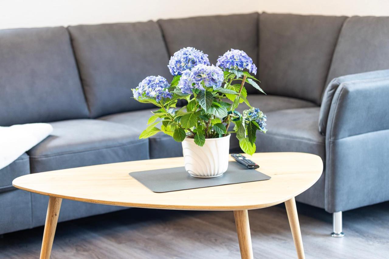 Ferienresidenz Hunsrueck Hochwald Apartment Morschied  Ngoại thất bức ảnh